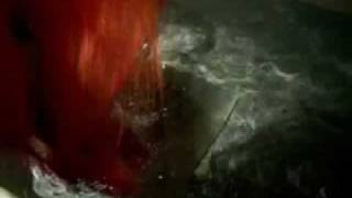 Die Young Stay Pretty