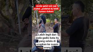 Download lagu janda gatel sok jual mahal padah lebih nyosor duluan#viral mp3