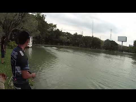 Vector SR65 2958_3380kv 3S ใบเดิม_53 km/h