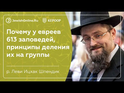 613 заповедей Торы | Рав Шпендик Леви Ицхак