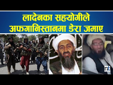 ओसामा बिन लादेनका सहयोगी अफगानिस्तान फर्किए|| Nepal Times