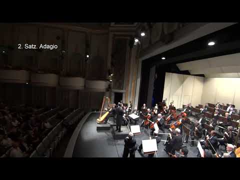 Carl Reinecke - concerto for harp and orchestra in e-minor op. 182 - Joel von Lerber