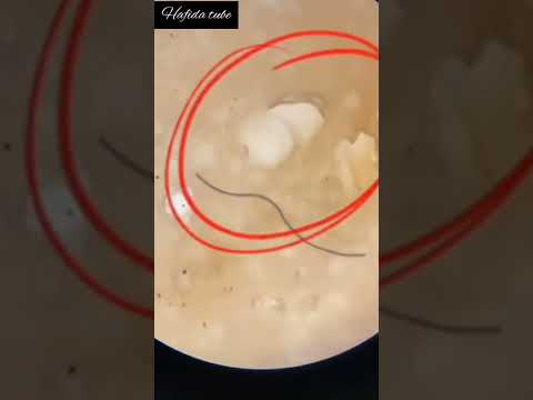 لاحظوا ماذا ناكل لا حول ولاقوة إلا بالله العلي العظيم#shorts