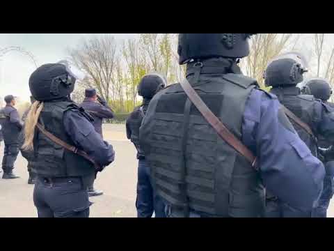 De Ziua Națională, Cavaleria jandarmeriei Române defilează la Brăila. Stiri Braila - Probraila.ro