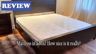 QUEEN ROSE 12 Inch Hybrid Mattress Review - Is It Really That Good? See Before You Buy.