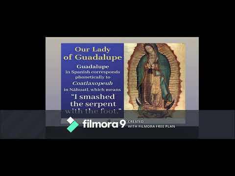 OUR LADY OF GUADALUPE/ Grace's Diary