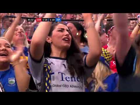 Blue & Gold - Dáwna - All-Ireland Hurling Final 2025 - Cork v Tipperary
