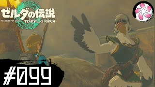 【ティアキン＃99】凡人が行く龍泪旅