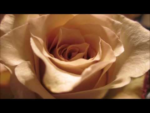 JOHNNY GILL ○ LET'S JUST RUN AWAY