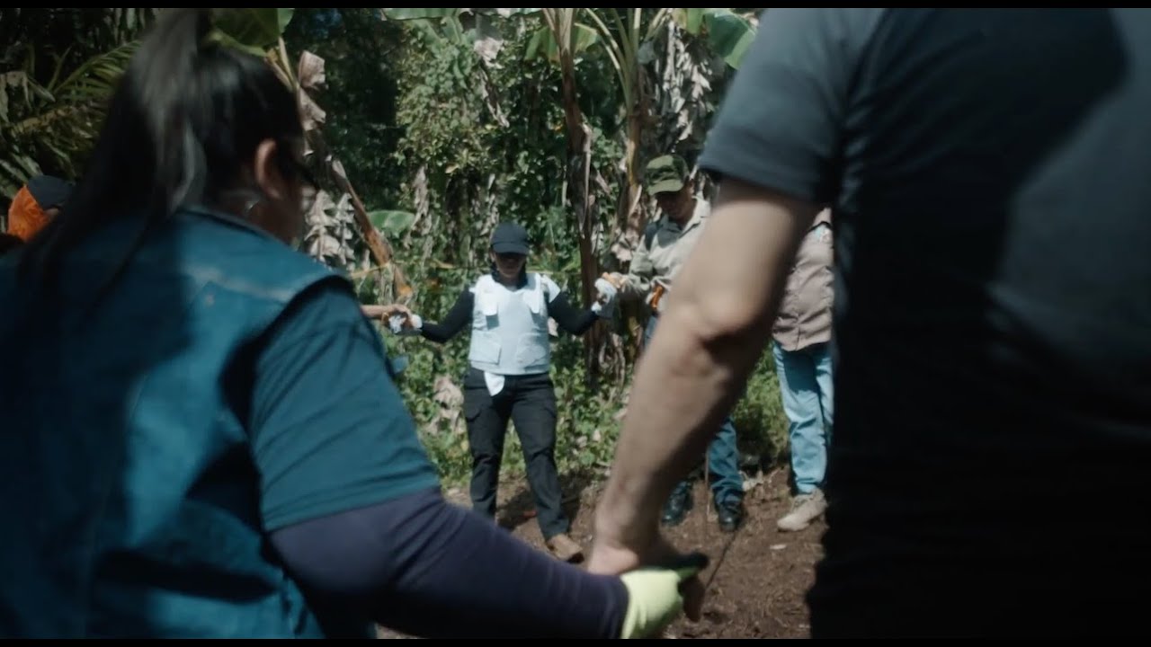 Till We Find Them — Official Trailer