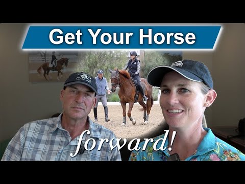 Your Horse won't go Forward?