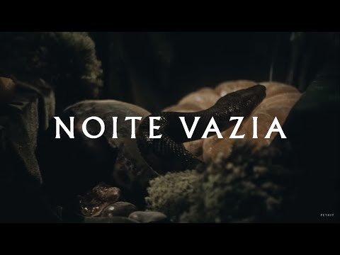 Thiago Pethit Noite Vazia
