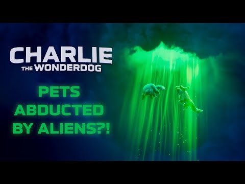 Super Dog Abducted by Aliens?!