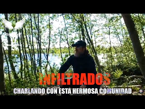 Charlando con esta hermosa comunidad - Infiltrados - #semillasestelares  #taygeta