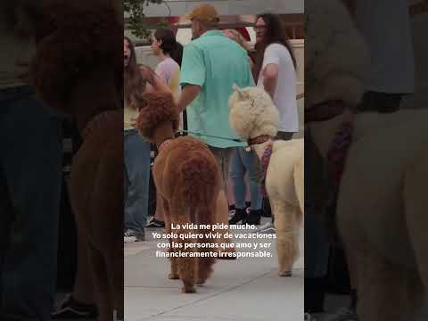 24 de agosto de 2024