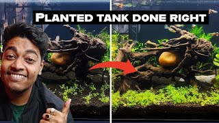Fixing Mistakes in My Subscriber's Planted Tanks. ( Reaction video )