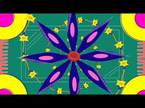 A cellular census: Mapping every cell in the human body