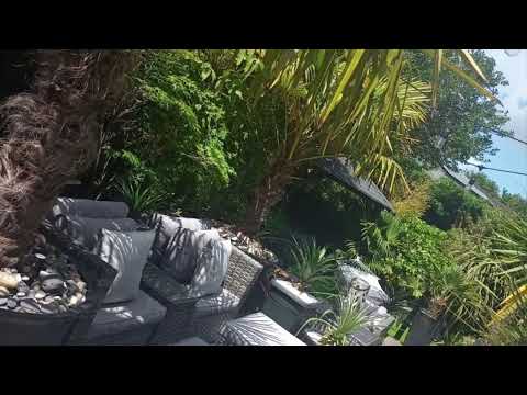 Tropical paradise Garden 🪴 UK Garden TOUR