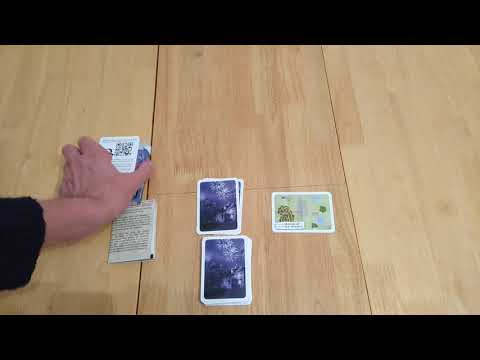 How to setup play and review Sherlock 