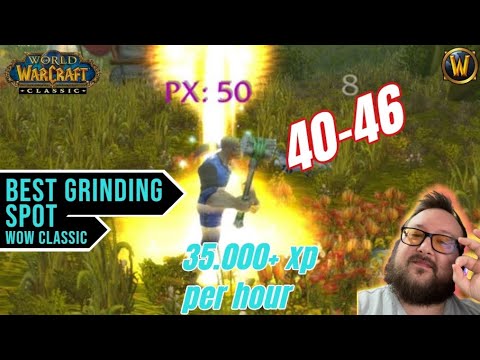 BEST WoW Classic Grinding Spot (LvL 40-46) | WoW Classic Guide