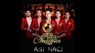 Alta Consigna - Si Fuera Ladrón