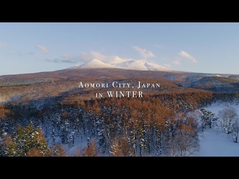 ホテルサンルート青森　魅力あふれる冬の青森市
