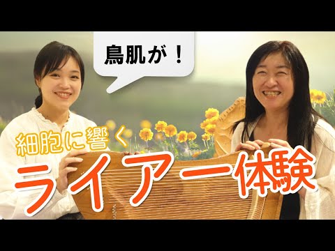 床材ガーデンパーゴラモダンな木製