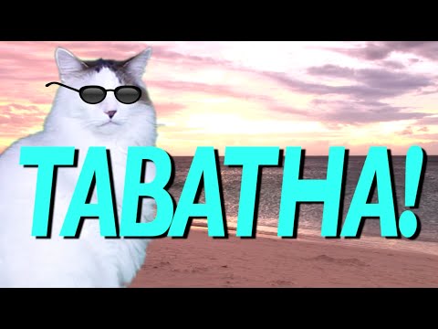 HAPPY BIRTHDAY TABATHA! - EPIC CAT Happy Birthday Song