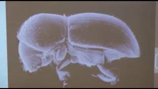 TERMÉSZETVÉDELMI KÖRKÉP