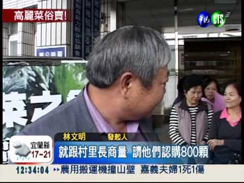 高麗菜價慘跌 1顆15元大拍賣