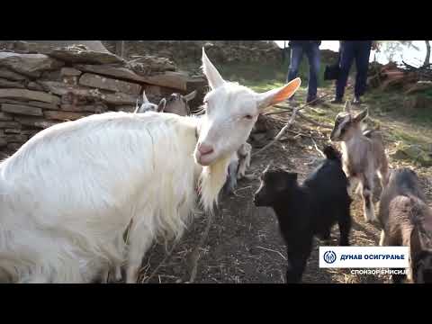 Imamo rešenje ep. 212 26.06.2023. Balkanska koza