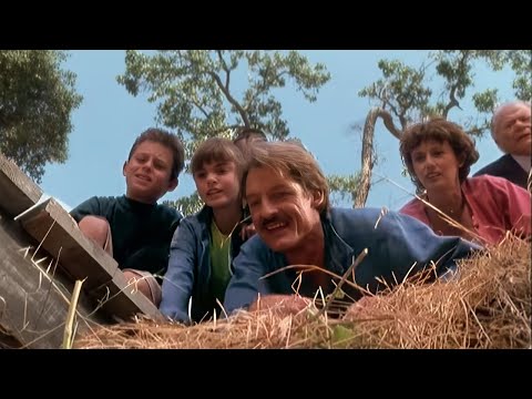 1998 - The Adventures of Ragtime - the little horse with big plans