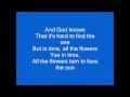 James Blunt - Face the sun (lyrics)