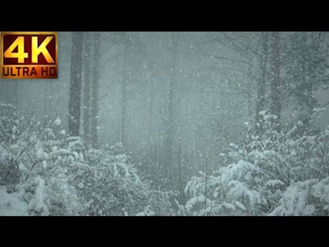 Relaxing Snowfall 2 HOURS of Beautiful Falling Snow in 4K