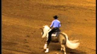 Celebrity Reining  Lyle Lovett     2009
