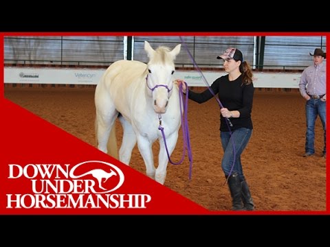 Clinton Anderson: Intermediate Testing, Groundwork Part 2 - Downunder Horsemanship