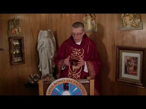 Feast of St. Mark the evangelist (Homily 12) - Fr. Clement, OSB