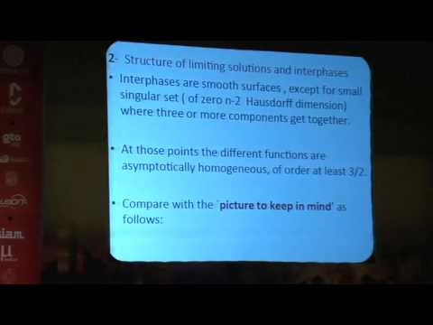 Luis Caffarelli - Some segregation models: local and long range MCA 2013