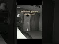 uncut raw footage of full bodied apparition?