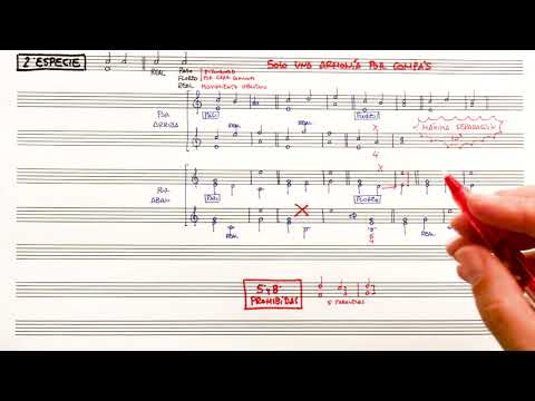 Composición 5º EP - Contrapunto  - 2ª Especie (Teoría)