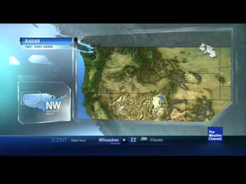 Rough Eyes - The Bunny the Bear