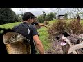 KING COBRA AT TATLONG COBRA