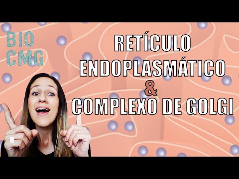 Retículo Endoplasmático e Complexo de Golgi - funções das organelas
