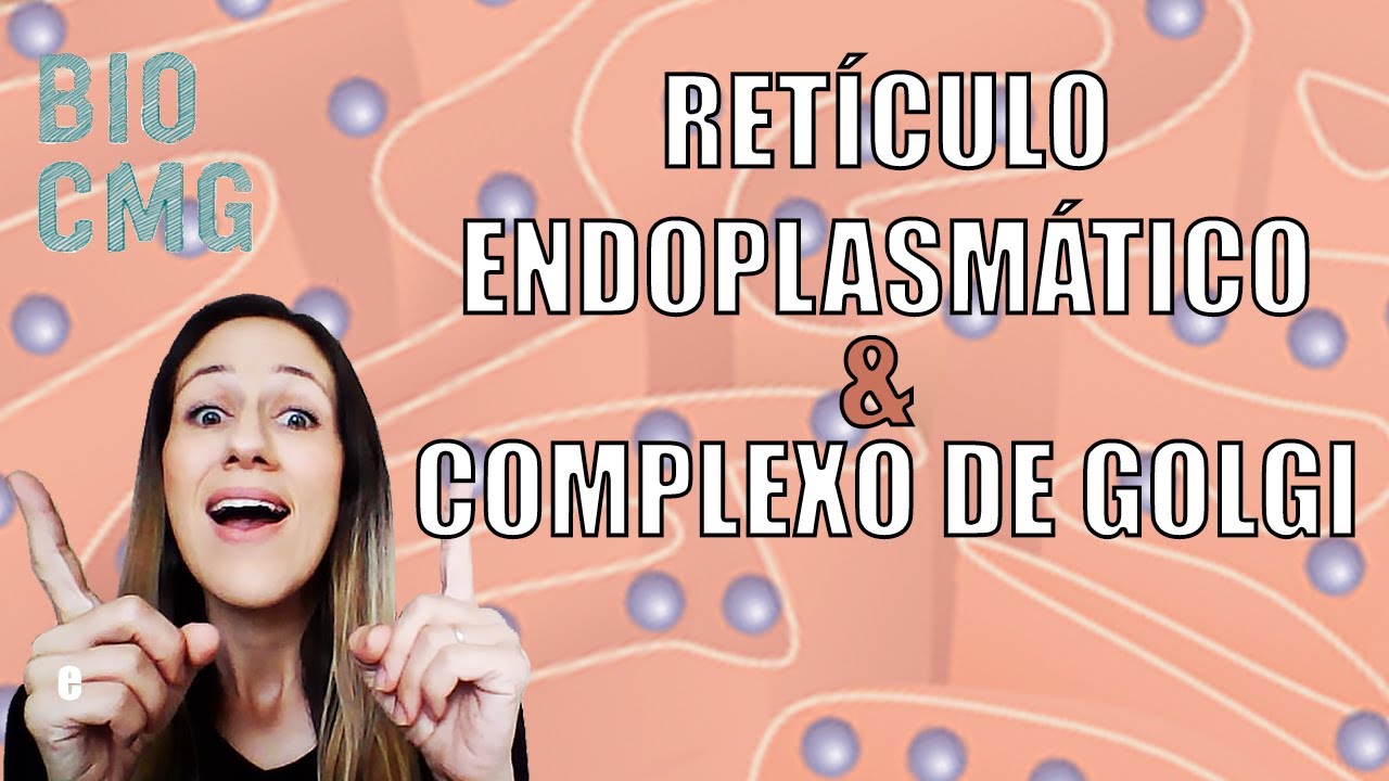 Retículo Endoplasmático e Complexo de Golgi - funções das organelas