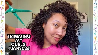 CURLY HAIR TRIM ✂️ - TURNED OUT SURPRISINGLY GOOD!