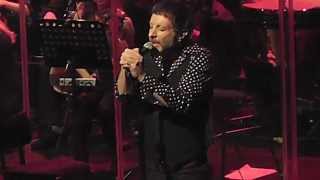 Mercury Rev - The Queen of Swans || live @ Theaters Tilburg/Incubate #incu15 || 18-09-2015