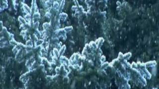 WINTER The Four Seasons - Antonio Vivaldi - Joshua Bell