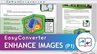 Learn Dolphin EasyConverter - Enhance image in EasyConverter Part 1 of 2