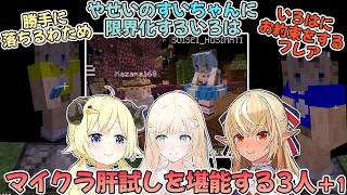 マイクラ肝試しで愉悦を有言実行する不知火フレアと遭遇した推しに限界化する風真いろは【不知火フレア/角巻わため/風真いろは/ホロライブ切り抜き】