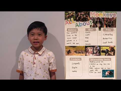 Jay Han's animal report